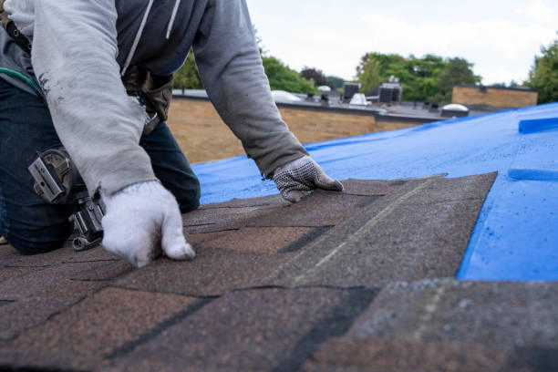 Best Commercial Roofing Services  in Albion, PA