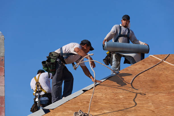 Roof Gutter Cleaning in Albion, PA