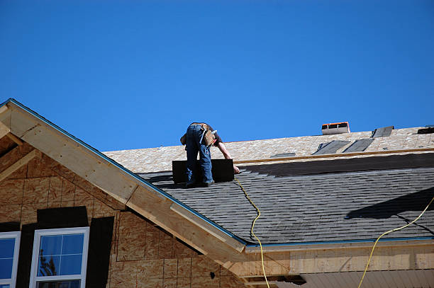 Best Storm Damage Roof Repair  in Albion, PA