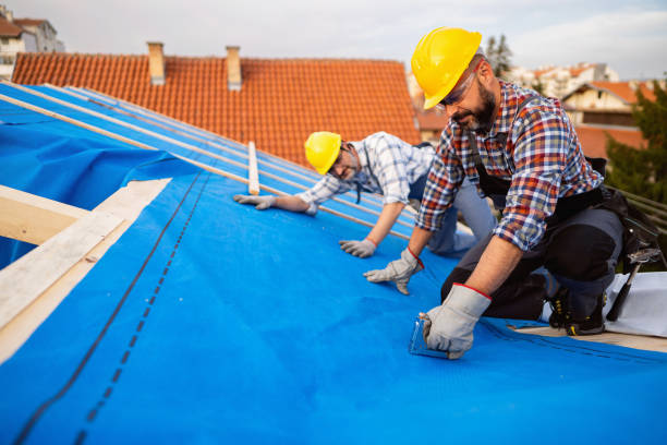 Best Metal Roofing Contractor  in Albion, PA