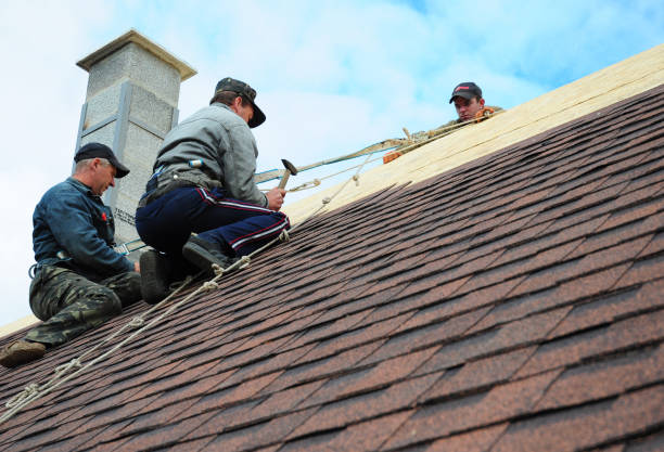 Best Emergency Roof Repair  in Albion, PA